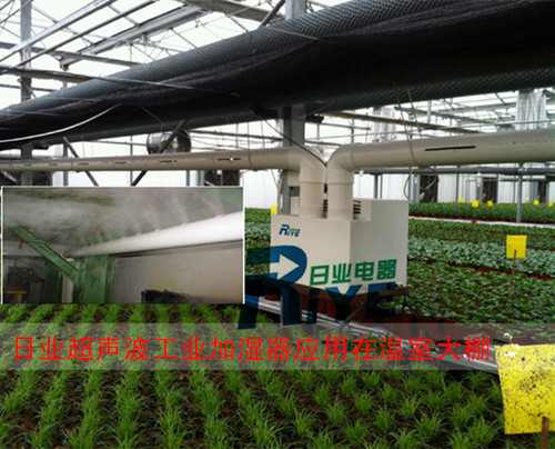 溫室大棚安裝噴霧加濕器 改善種植環境(圖4)