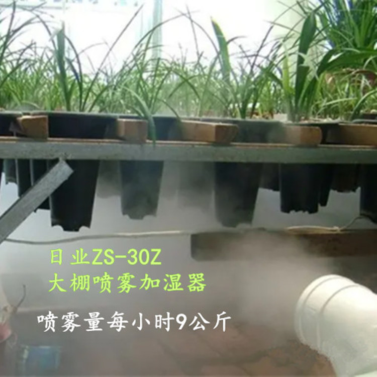 溫室大棚里使用除濕機的好處(圖5)